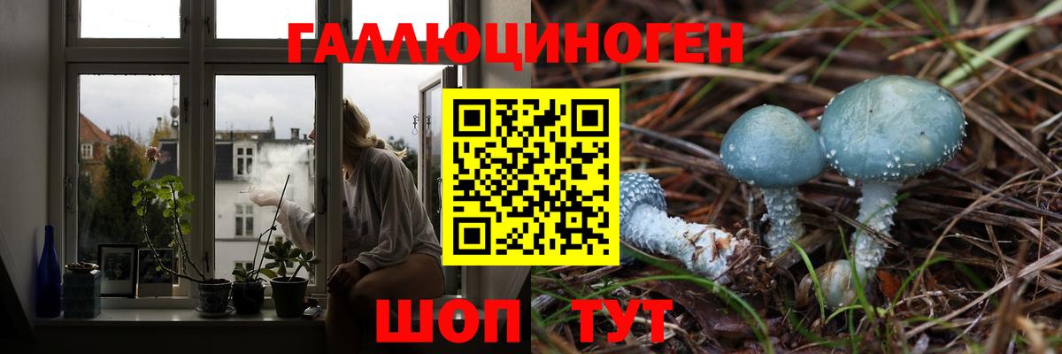 Галлюциногенные грибы Cubensis  Псилоцибиновые грибы Psilocybine cubensis  Ревда  Вход с VPN 