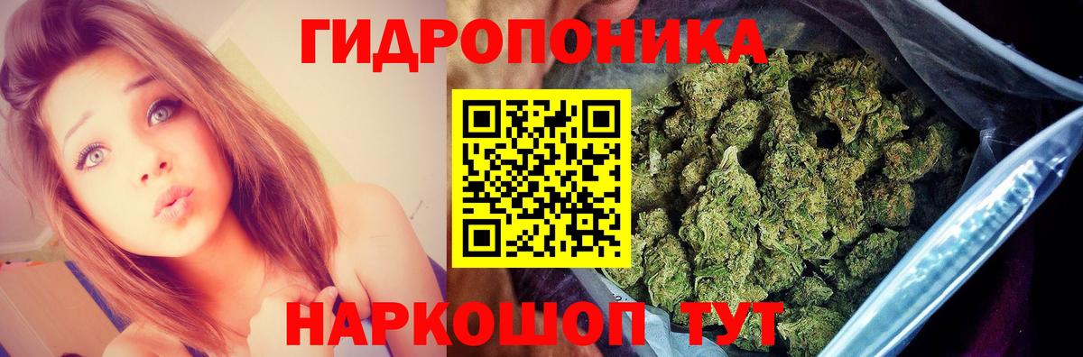 Марихуана Bruce Banner  Бошки Шишки Amnesia  Вход с VPN  Ревда  Марихуана White Widow  Марихуана конопля 